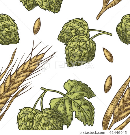 Seamless pattern from hop with leaf and Ear of 61446945