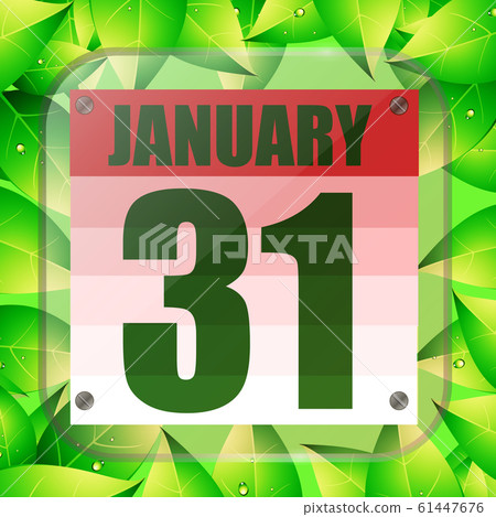 January 31 icon. For planning important day. Banner for holidays with green leaves. Thirty first of January. 61447676