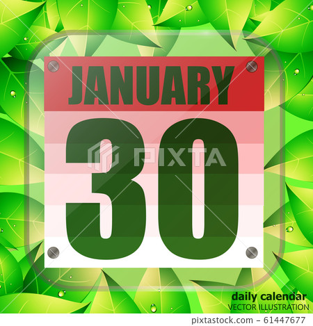 January 30 icon. For planning important day. Banner for holidays with green leaves. Thirtieth January icon. January 30 icon. For planning important day. Banner for holidays with green leaves. Thirtieth January icon. 61447677
