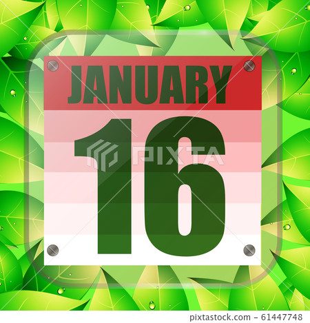 January 16 icon. For planning important day with green leaves. Sixteenth of January icon. Illustration. January 16 icon. For planning important day with green leaves. Sixteenth of January icon. Illustration. 61447748