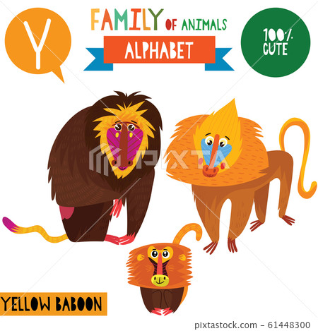 Letter Y-Mega big set.Cute vector alphabet with family of animals in cartoon style. 61448300