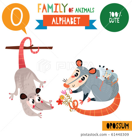 Letter O-Mega big set.Cute vector alphabet with family of animals in cartoon style. 61448309