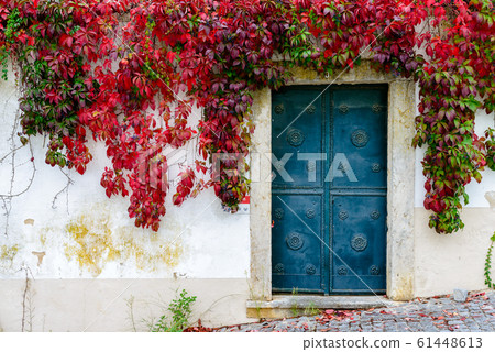 Steel colored door of a typical Portuguese house in the autumn season 61448613