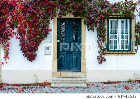 Typical old Portuguese house in the autumn season with red and green ivy leaves Typical old Portuguese house in the autumn season with red and green ivy leaves 61448632