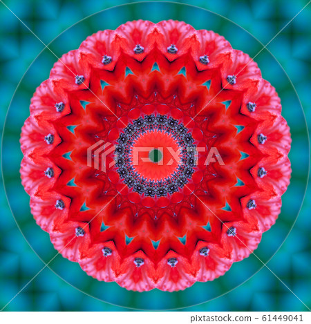 Floral kaleidoscopic pattern. Flower geometric ornament . Mandala . Abstract background Floral kaleidoscopic pattern. Flower geometric ornament . Mandala . Abstract background 61449041