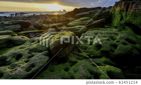 苔蘚,日出,兄弟島,西歸浦,濟州島,韓國 苔蘚,日出,兄弟島,西歸浦,濟州島,韓國 61451214
