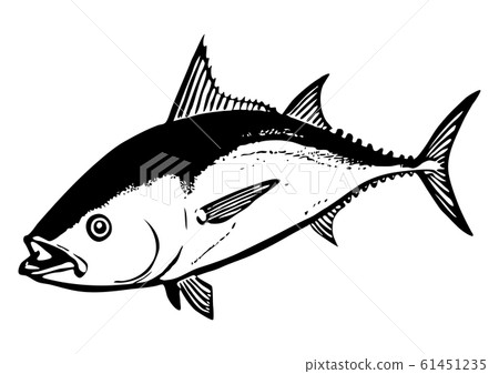 Bluefin tuna illustration (black and white) - Stock Illustration ...