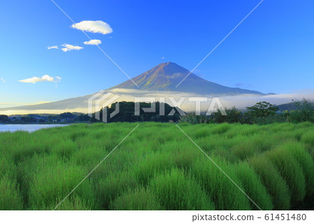 富士山川口河口奇亞夏季富士 61451480