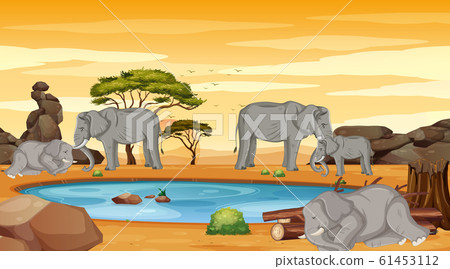 Skinny elephants in the field Skinny elephants in the field 61453112