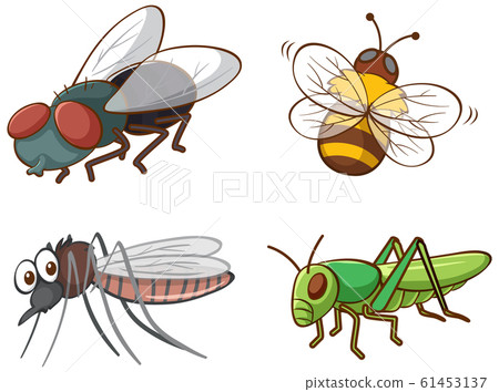 Isolated picture of different bugs 61453137