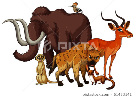 Isolated picture of many animals Isolated picture of many animals 61453141