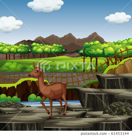 Scene with alpaca at the zoo 61453144