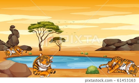 Scene with many tigers in the field 61453163