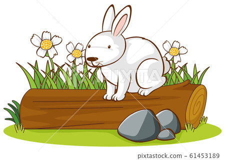 Isolated picture of cute bunny 61453189