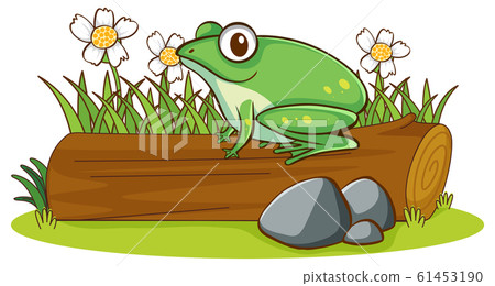 Isolated picture of frog on log Isolated picture of frog on log 61453190