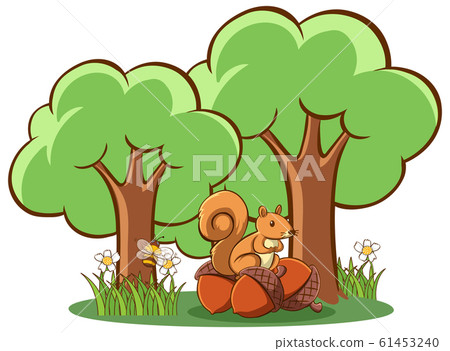 Squirrel and nuts on white background Squirrel and nuts on white background 61453240