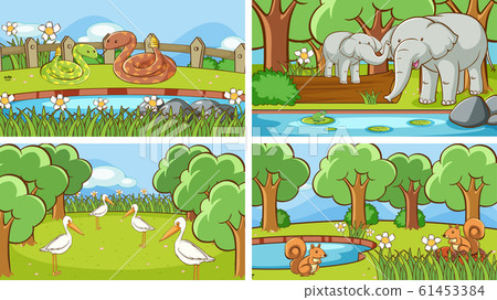 Background scenes of animals in the wild Background scenes of animals in the wild 61453384