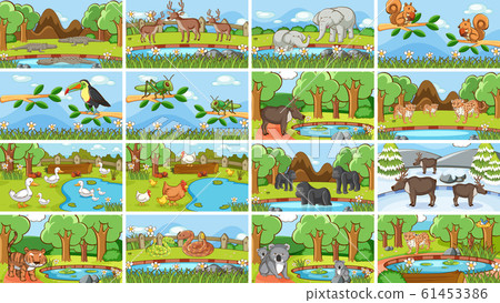 Background scenes of animals in the wild Background scenes of animals in the wild 61453386