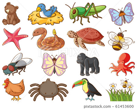 Large set of wildlife with many types of animals Large set of wildlife with many types of animals 61453600