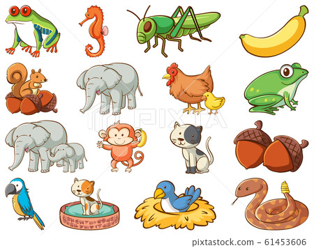 Large set of wildlife with many types of animals Large set of wildlife with many types of animals 61453606
