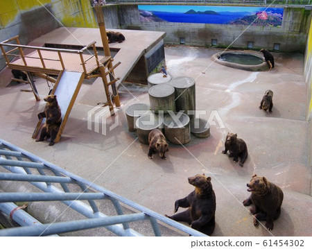 Hokkaido Showa Shinzan Kuma Farm Hokkaido Showa Shinzan Kuma Farm 61454302