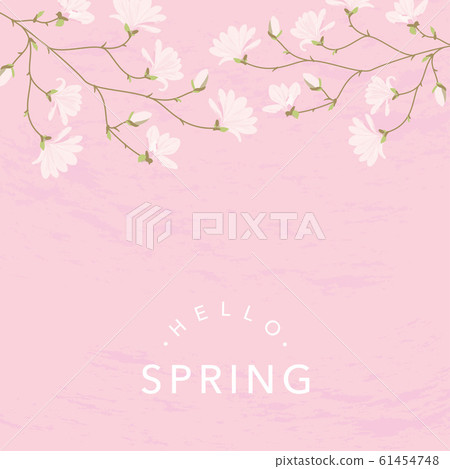 Pink magnolia flower background illustration Pink magnolia flower background illustration 61454748