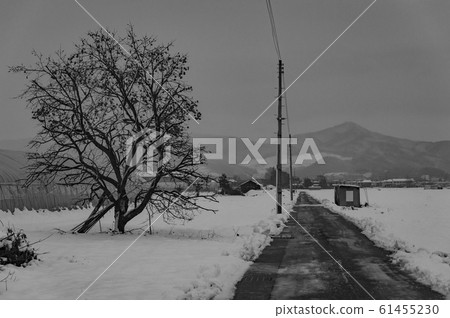 Midwinter straight road 61455230