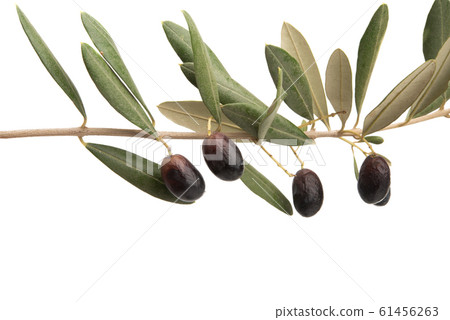 black olives isolated 61456263