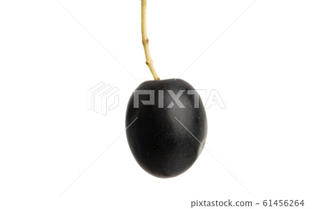 black olives isolated black olives isolated 61456264