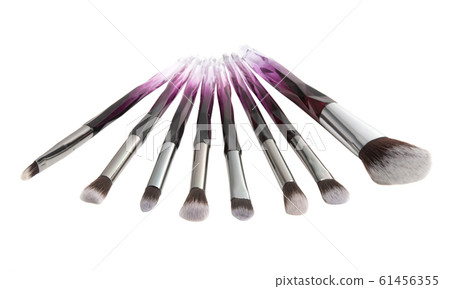 cosmetic brush isolated 61456355