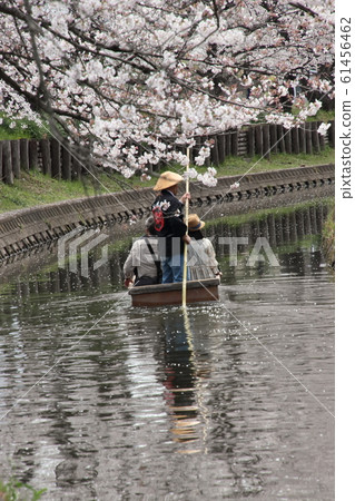 川越新川岸河Sakuratsumi日本船去 川越新川岸河Sakuratsumi日本船去 61456462