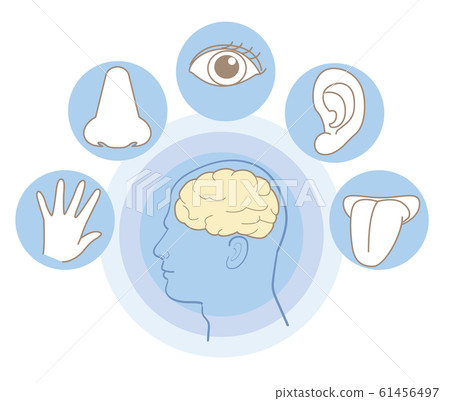 Five senses image, profile 61456497