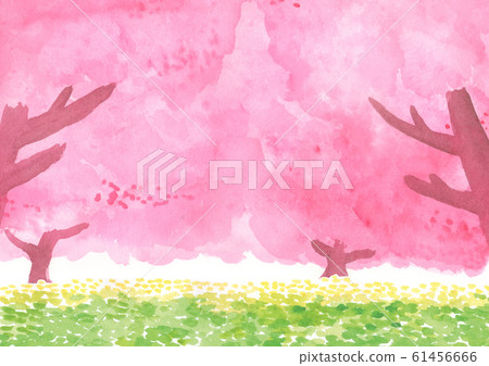 櫻花樹和油菜花春天水彩背景圖 61456666