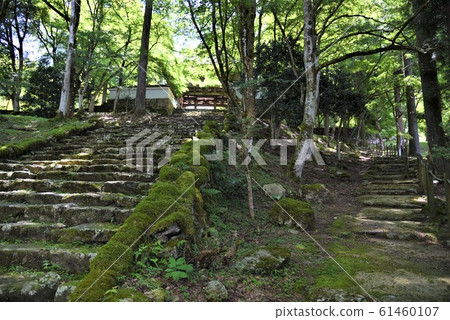 Old temple Kogenji `` Sando '' deep green ① 61460107