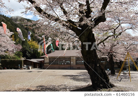 飯能市南川支部舊學校的春天 飯能市南川支部舊學校的春天 61460156
