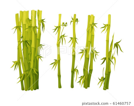 Bamboo green decoration elements in flat style Bamboo green decoration elements in flat style 61460757