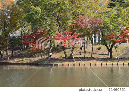 北山公園2018-11-18#30 北山公園2018-11-18#30 61460861