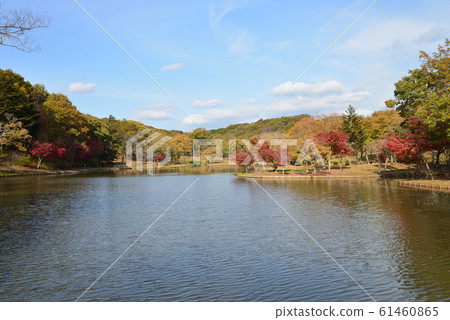 Kitayama Park 2018-11-18 # 27 Kitayama Park 2018-11-18 # 27 61460865