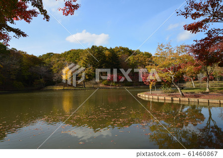 北山公園2018-11-18#25 北山公園2018-11-18#25 61460867