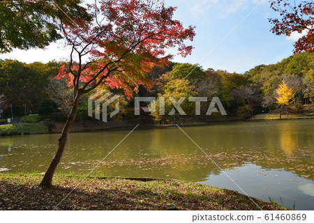 北山公園2018-11-18＃24 61460869