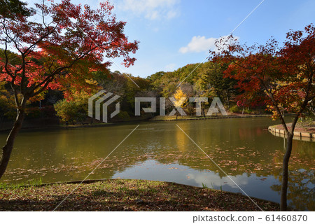 北山公園2018-11-18#23 北山公園2018-11-18#23 61460870