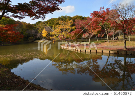 北山公園2018-11-18#21 北山公園2018-11-18#21 61460872