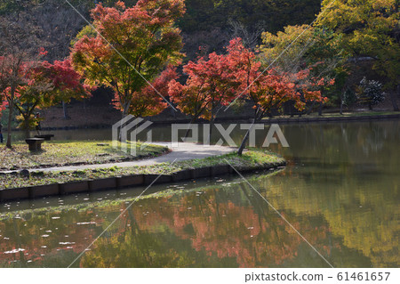 Kitayama Park 2018-11-18 # 47 Kitayama Park 2018-11-18 # 47 61461657