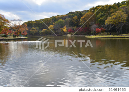 Kitayama Park 2018-11-18 # 41 Kitayama Park 2018-11-18 # 41 61461663