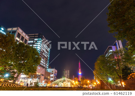 Sapporo TV Tower city view at night 61462119