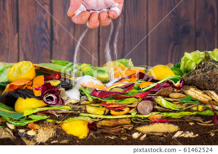 Male hand adding lime to a compost heap to increase the composting rate consisting of rotting kitchen leftovers 61462524