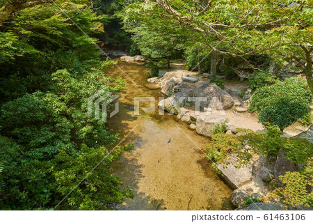 Momijidani Park Miyajimacho Momijidani Park Miyajimacho 61463106