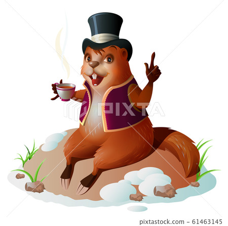 Groundhog forecaster climbed out of hole, sitting and drinking coffee. Groundhog Day 61463145