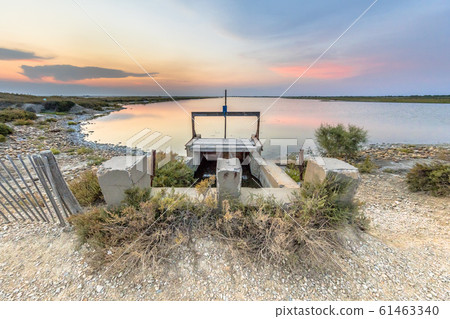 Weir colorful lagoon Camarque Weir colorful lagoon Camarque 61463340