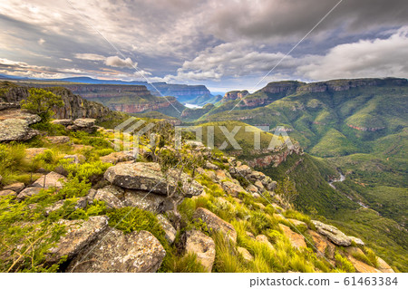 Natural vegetation Blyde river canyon Natural vegetation Blyde river canyon 61463384